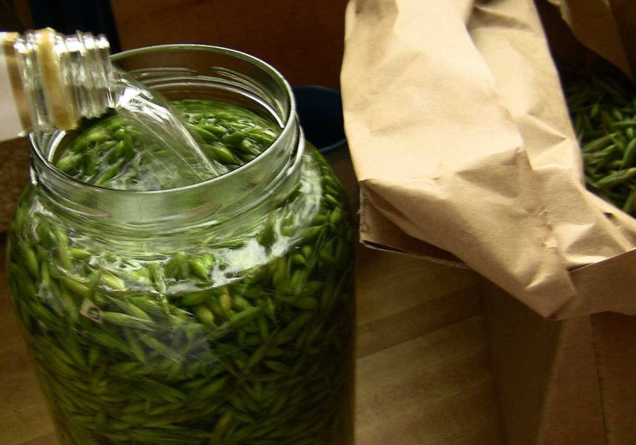 Экстракты из растений