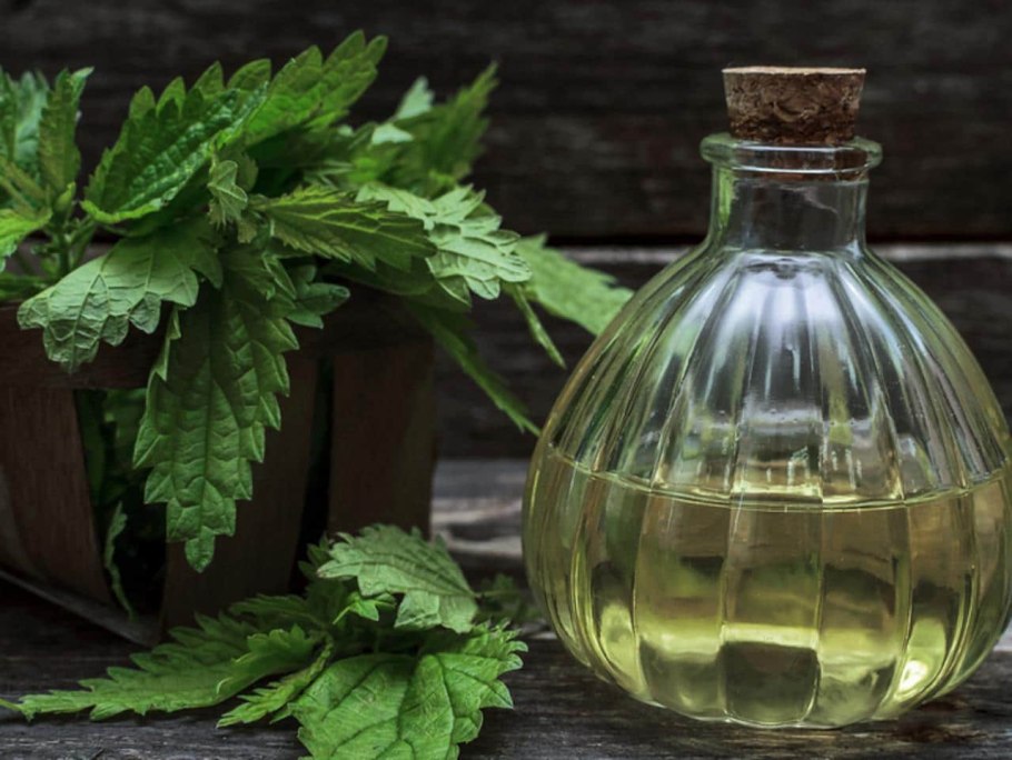 Крапива на спирту