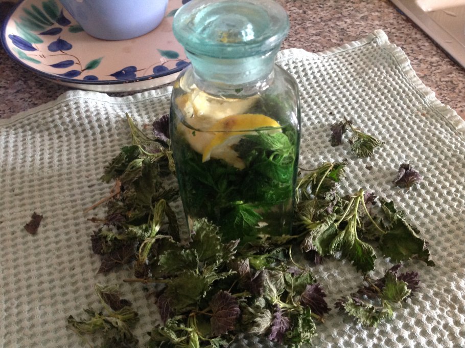 Водка настоянная на крапиве