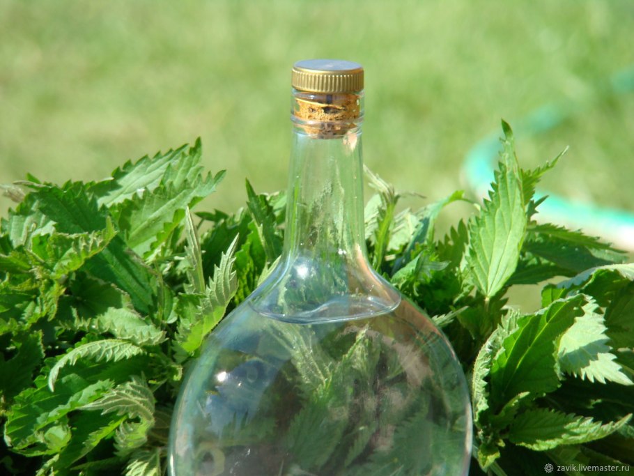 Репейник народная медицина