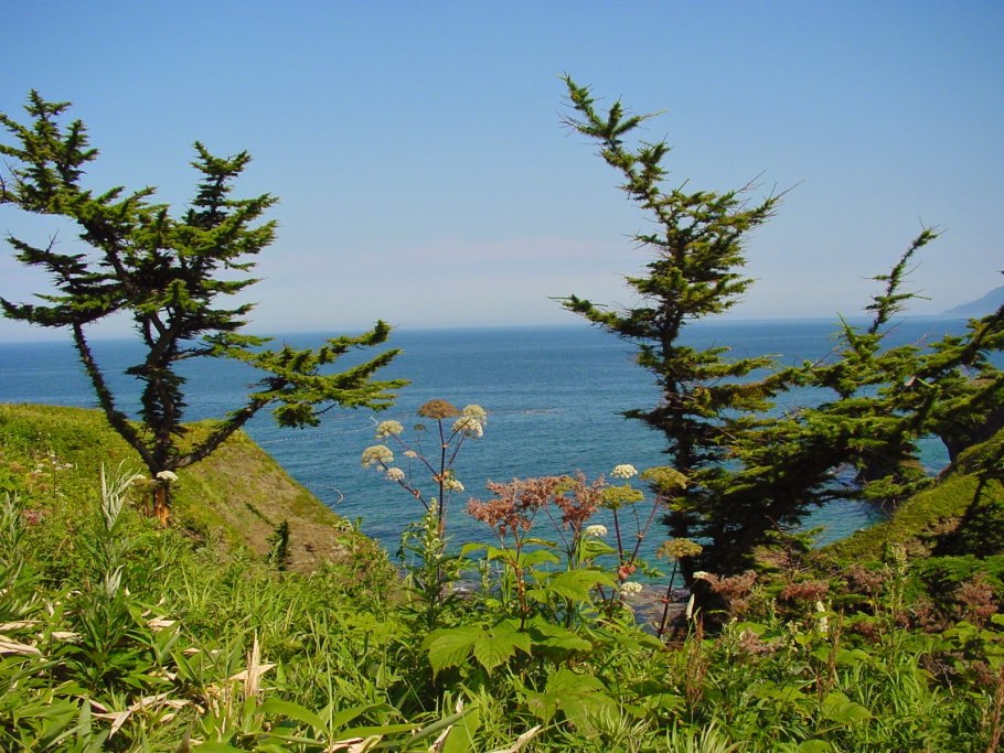 Вулкан Баранский Курильские острова