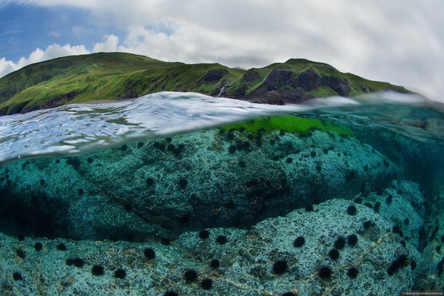 Сахалин остров Шикотан