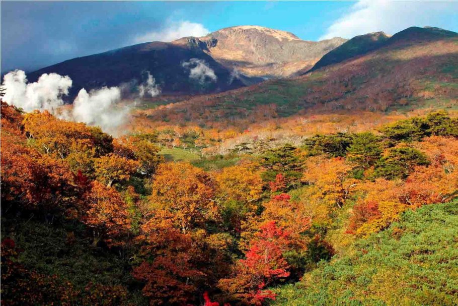 Река Тымь Сахалин