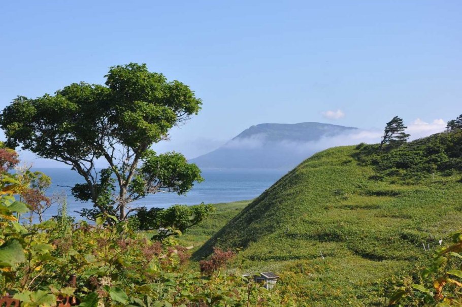 Цветущие растения острова Итуруп