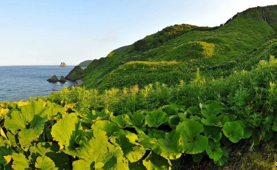 Хребет Джугджур