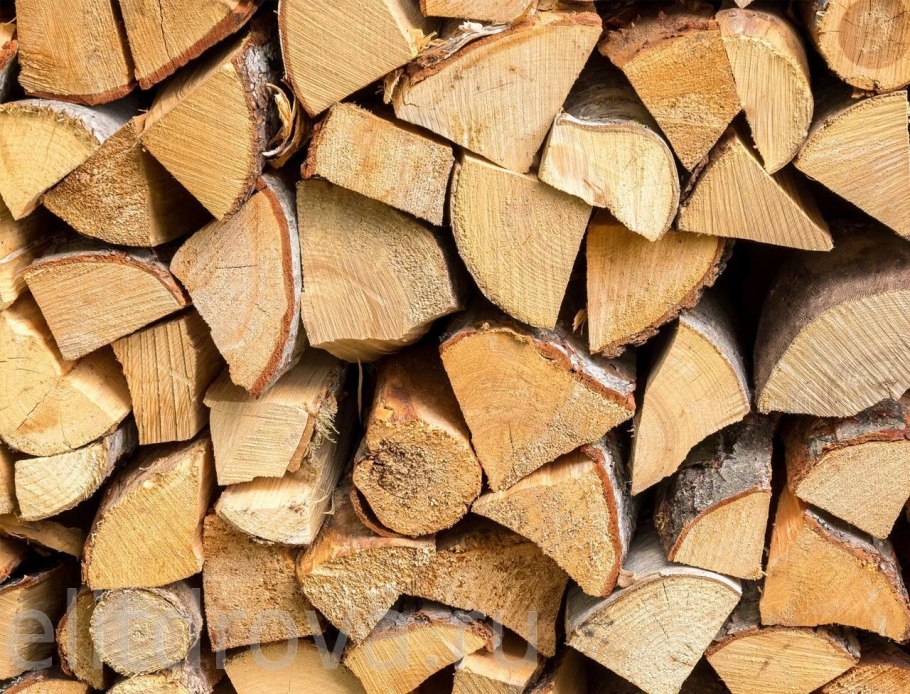 Куча спиленных деревьев серые старые