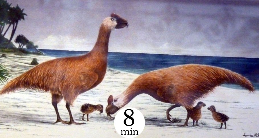 Тасманский волк 1936