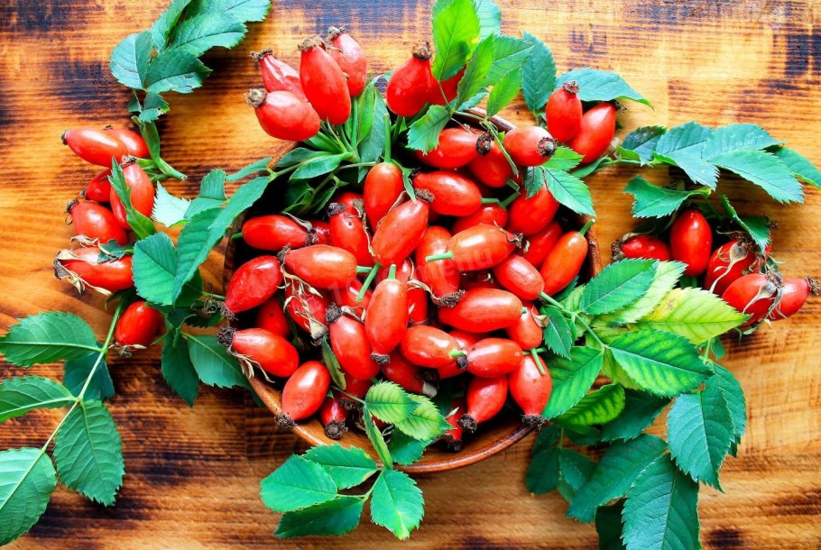 Шиповник ягоды