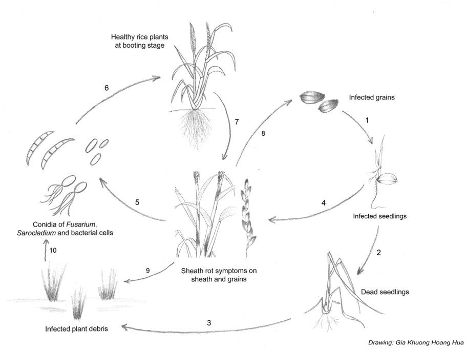 Продукты разрешенные при подагре