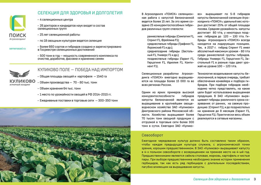 Технология хранения белокочанной капусты