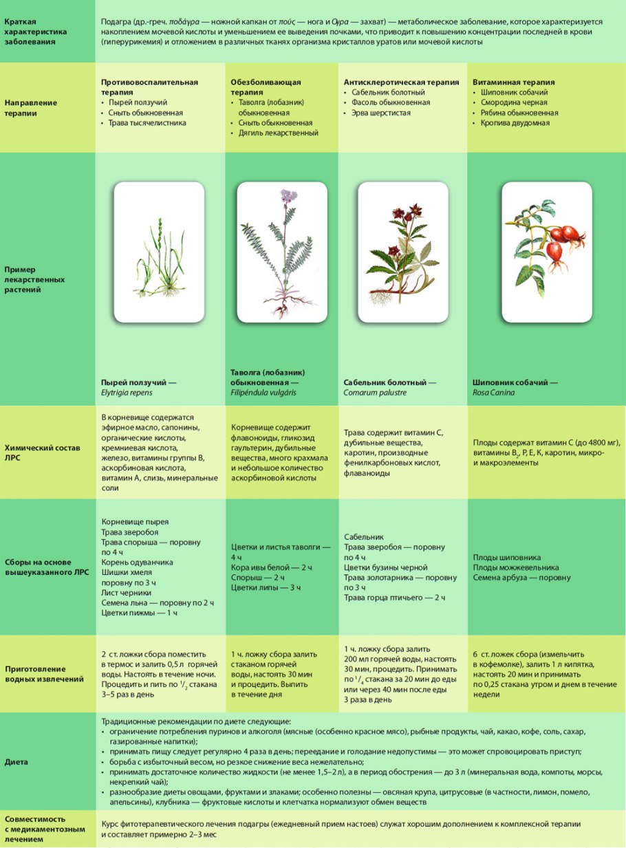 Капуста белокочанная Коля f1