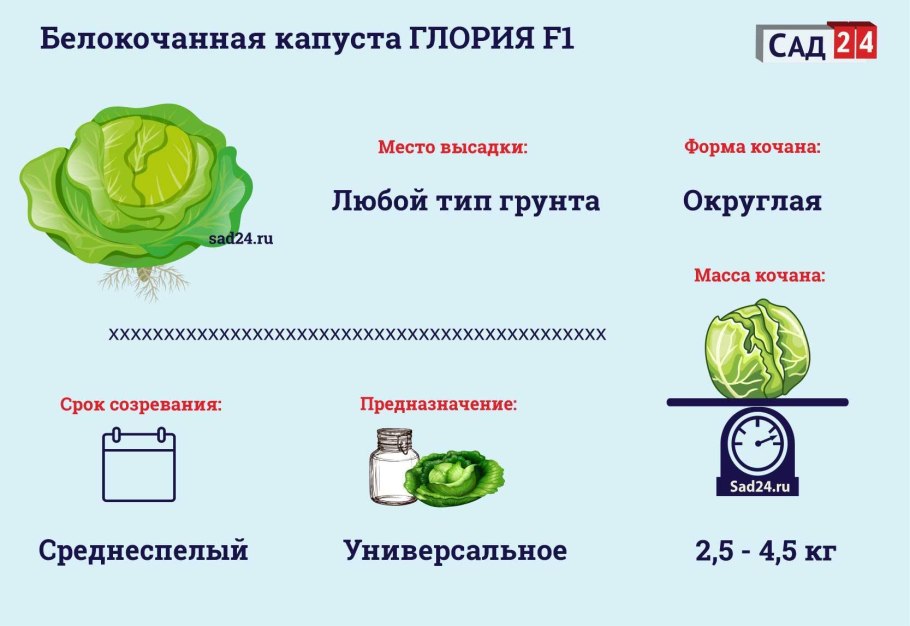 Семена кормовой капусты