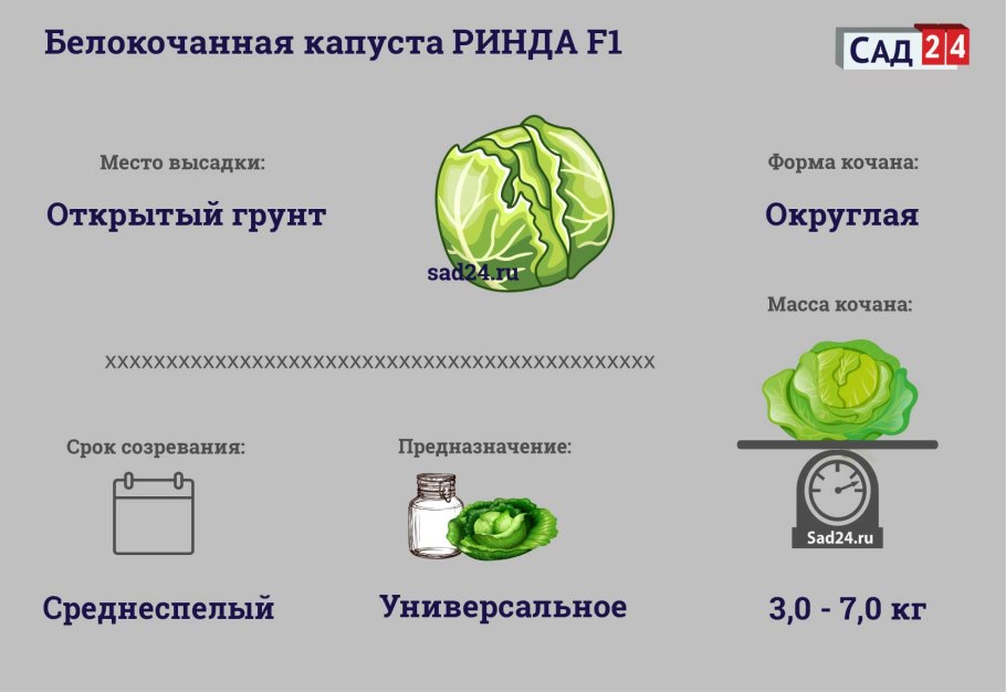 Требования к почве для капусты