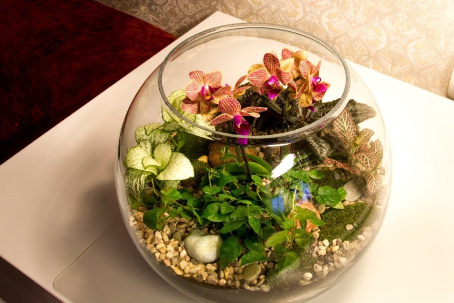 LAROOM флорариум
