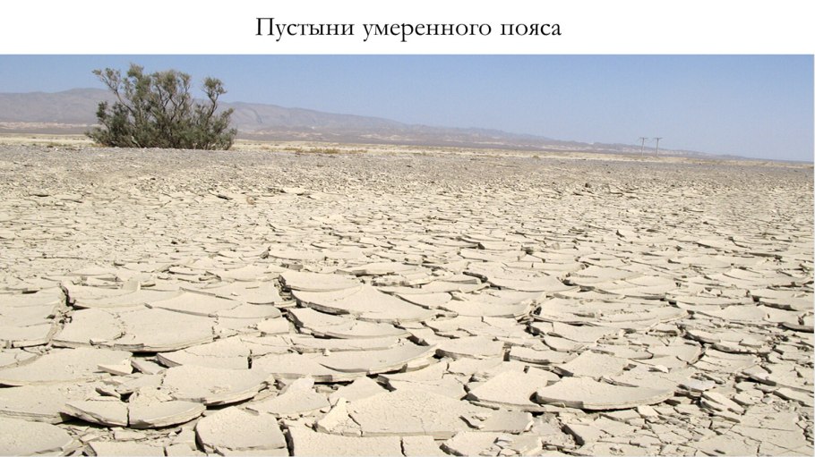 Арктическая тундра Аляска