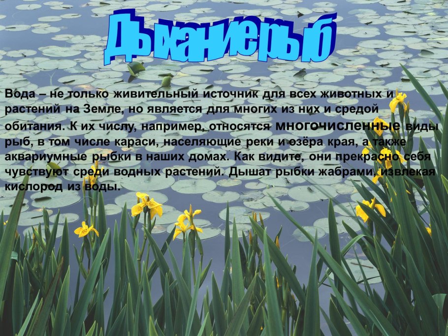 Водные растения гигрофиты