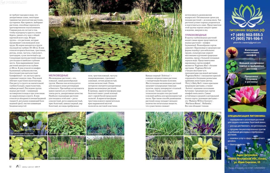 Какие признаки характерны для