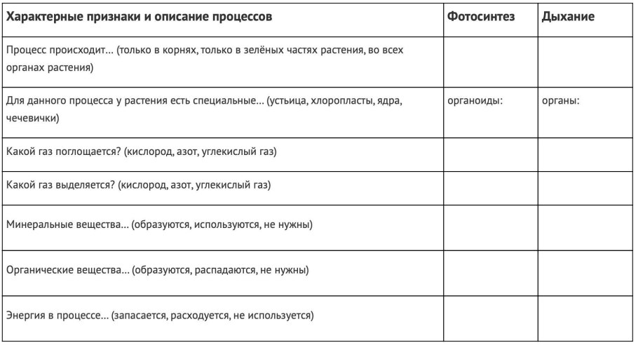 Растения озера мирное
