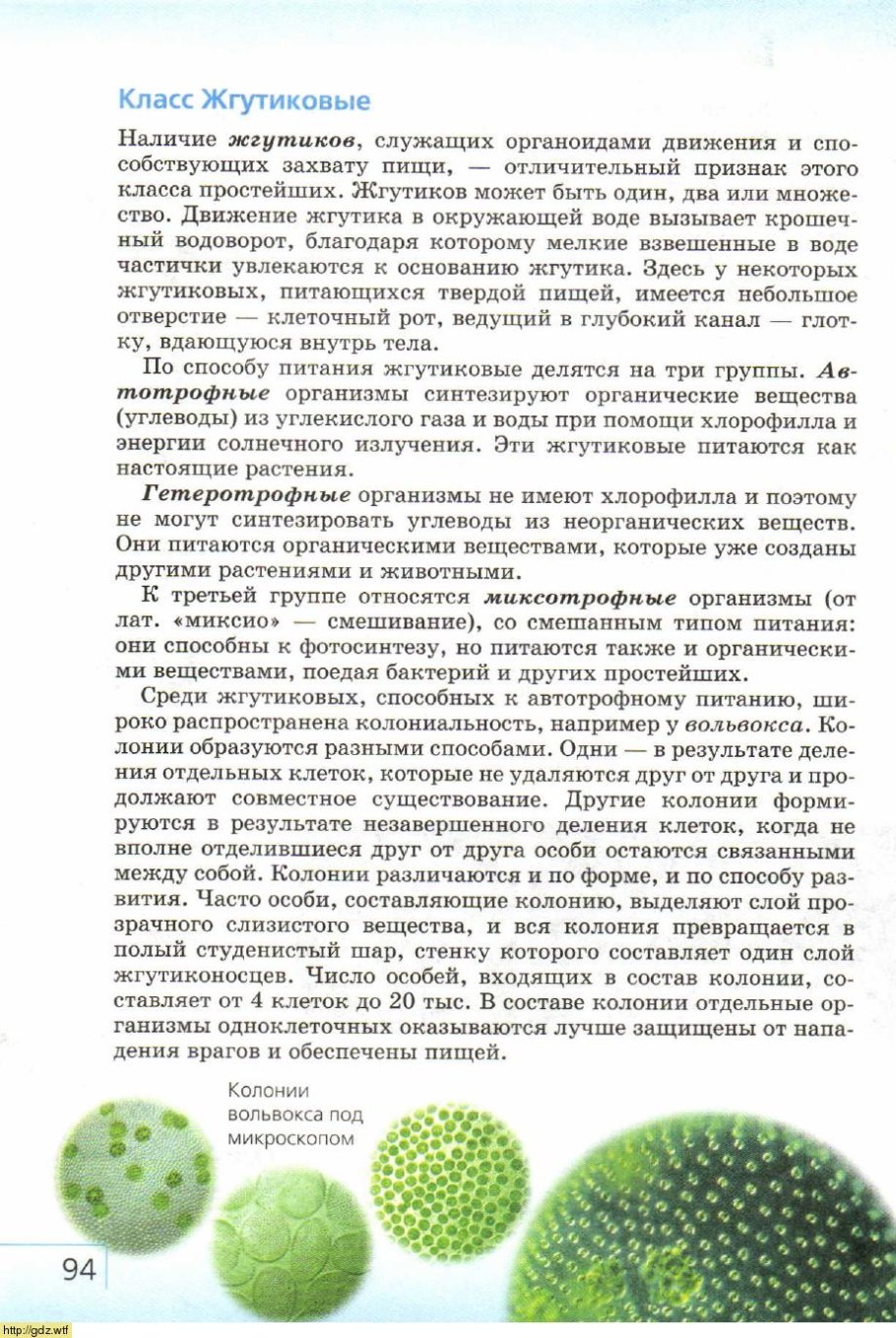 Лист как вегетативный орган растения выполняет функции