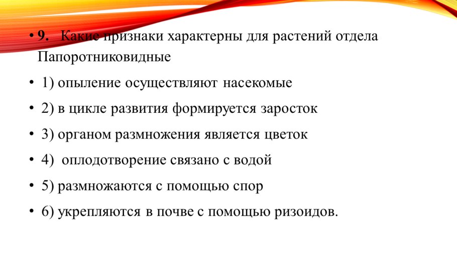 Кувшинка белая строение