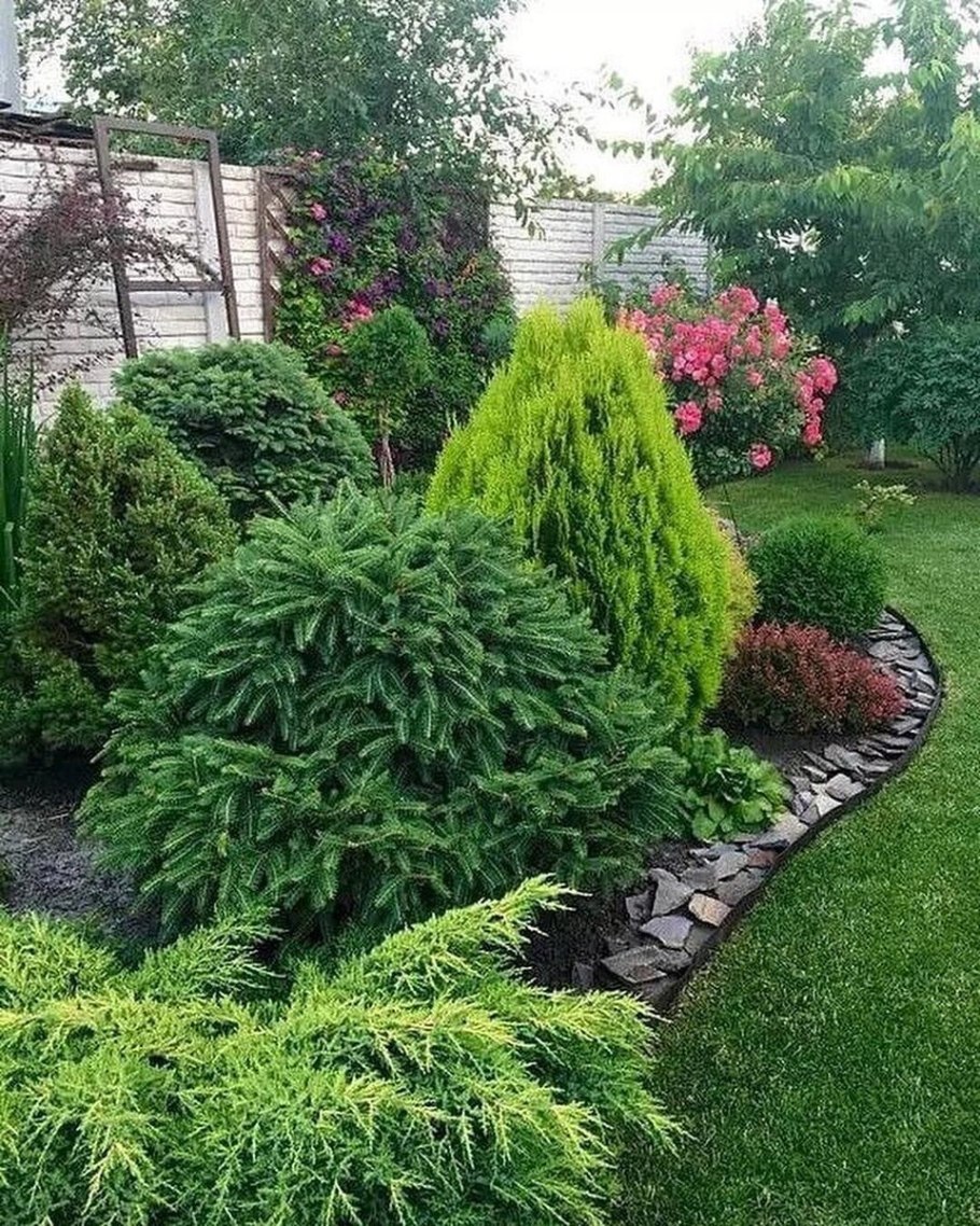 Ель Коника, можжевельник, спирея