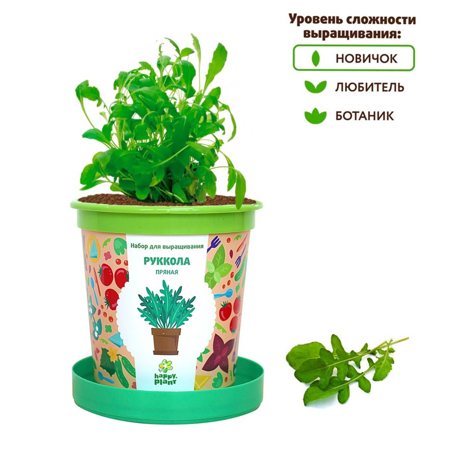 Happy Plant рукола