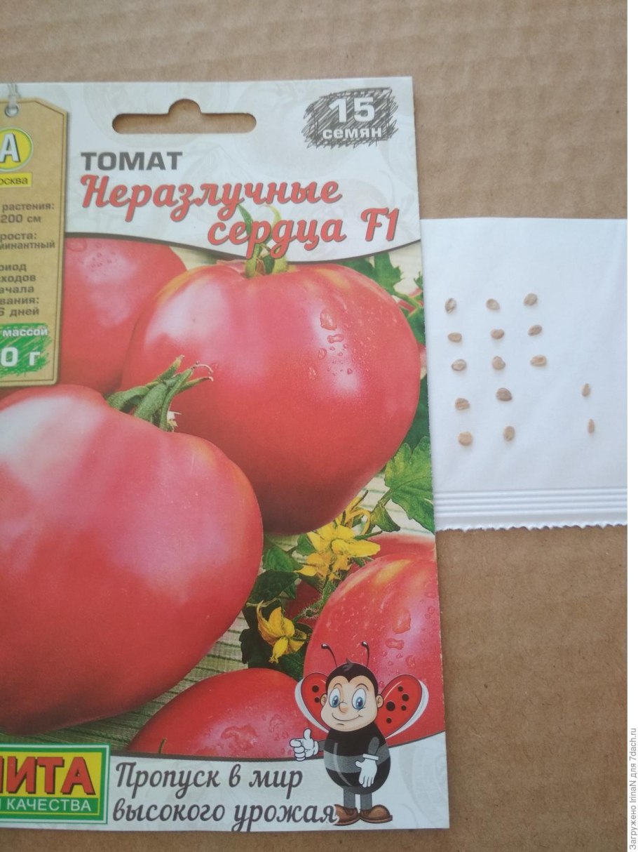 Томат неразлучные сердца характеристика
