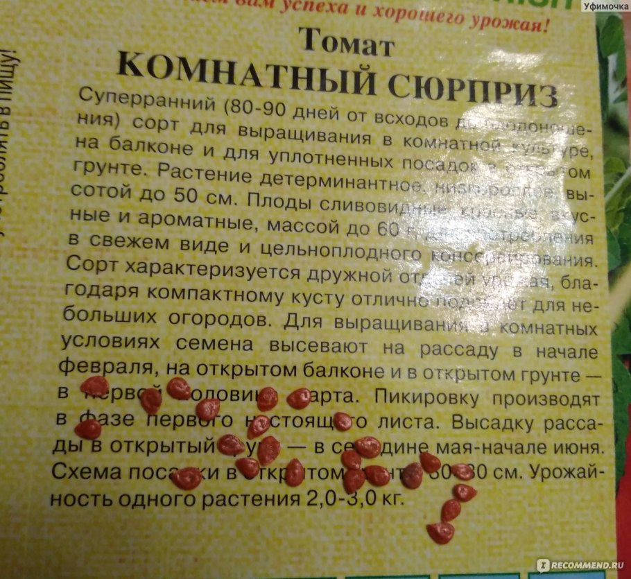 Помидоры Франчи