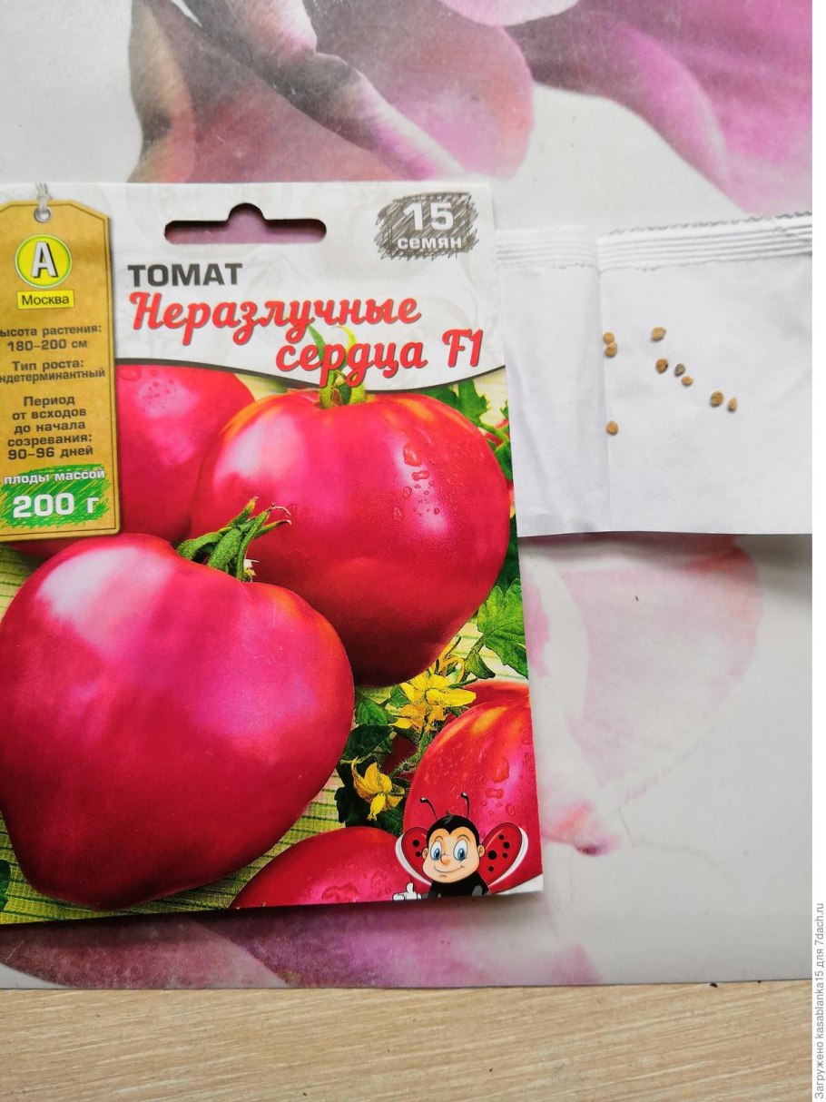 Огород сад Медведевых каталог купить томаты
