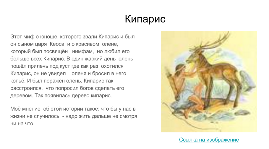 Туя Восточная Кипарис