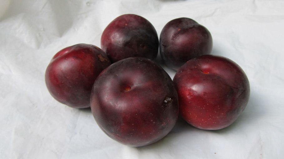 Диплоидные сливы. Разные сорта