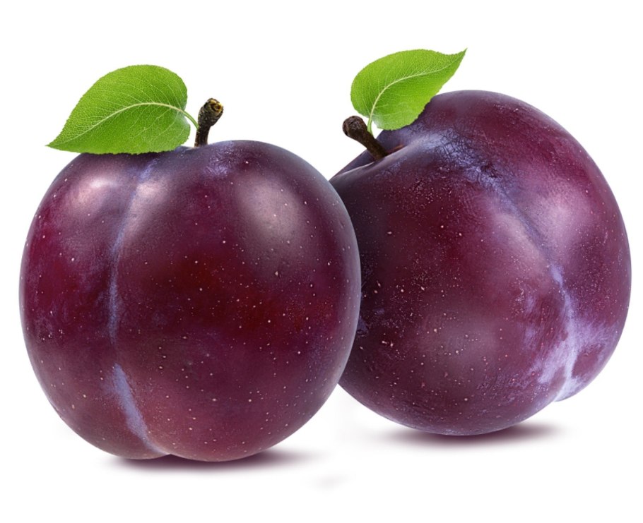 Слива молдавская