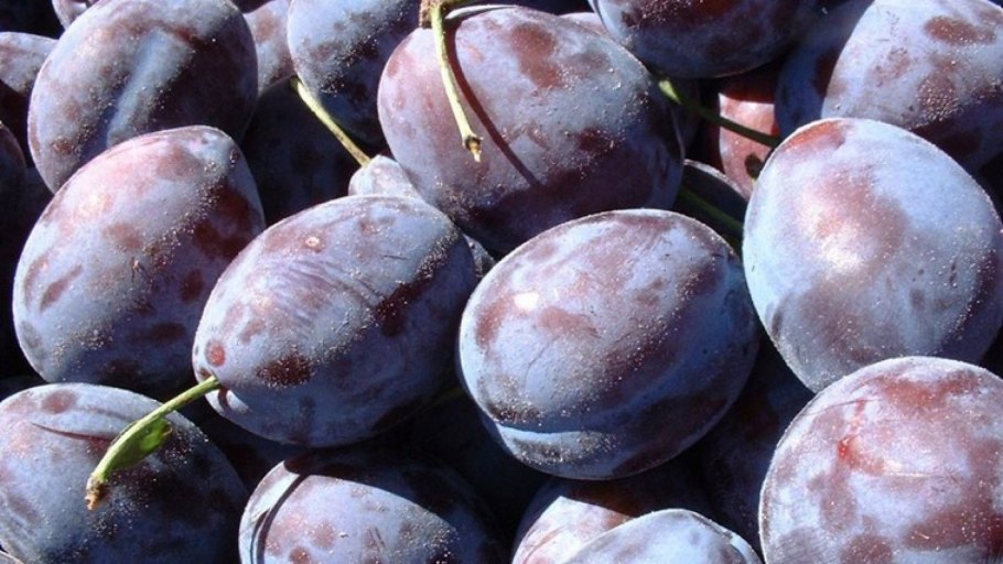 Ренклод Ульянищева