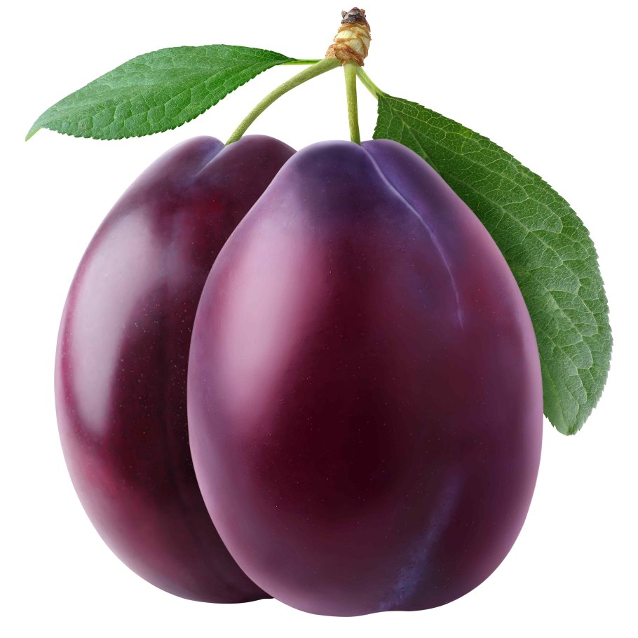 Слива полезна