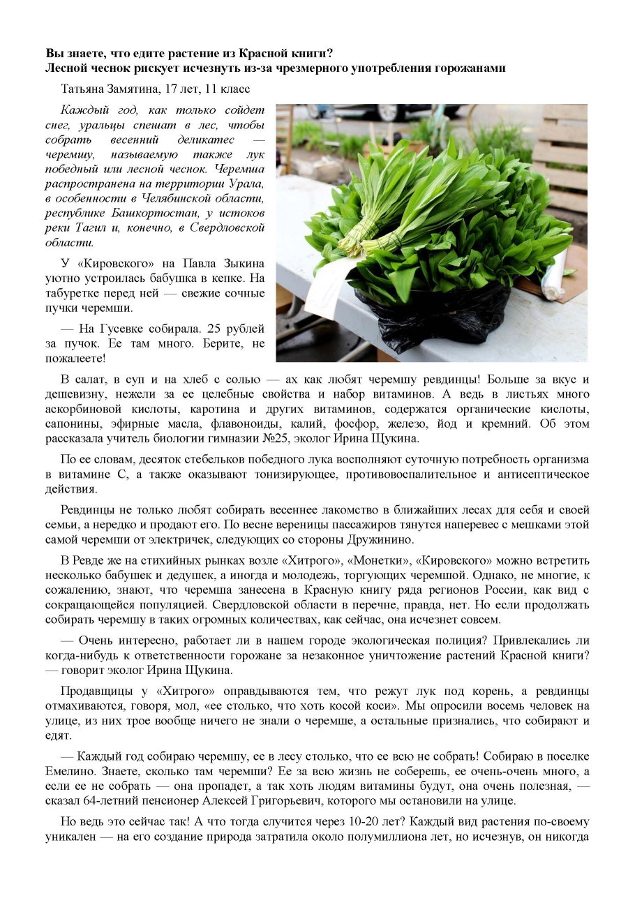 Черемша растение