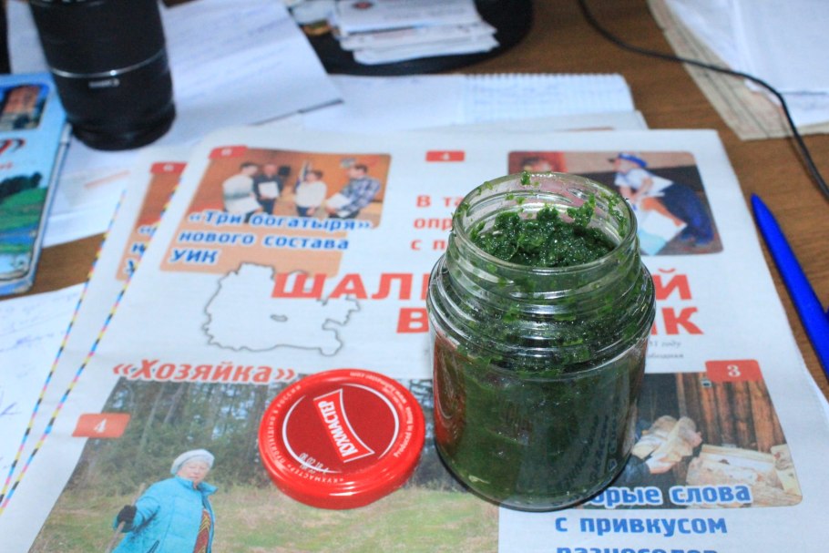 Черемша ареал