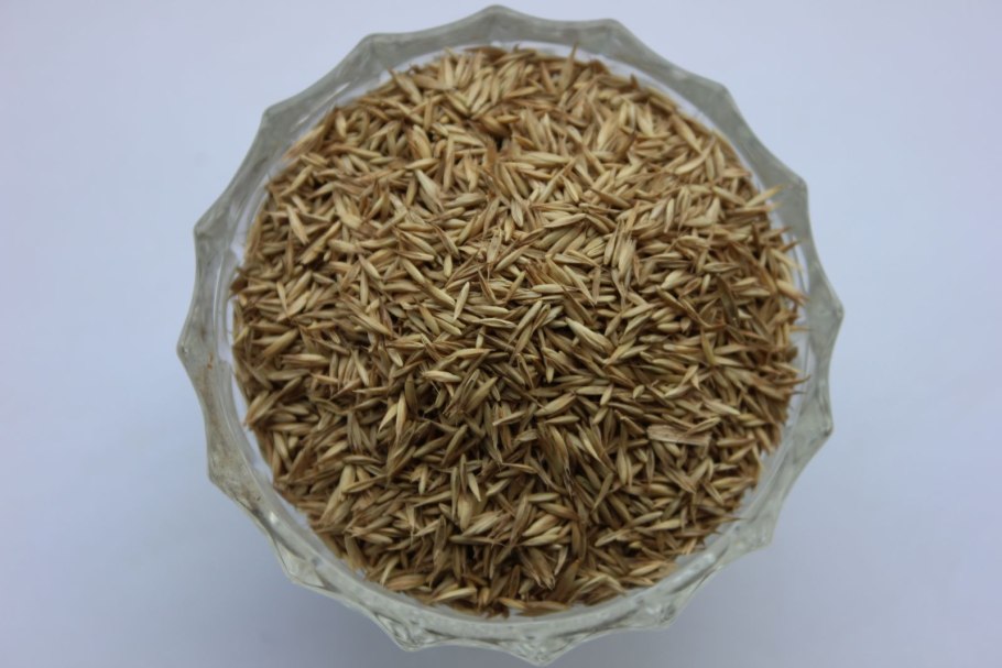 Ежа сборная и мятлик Луговой