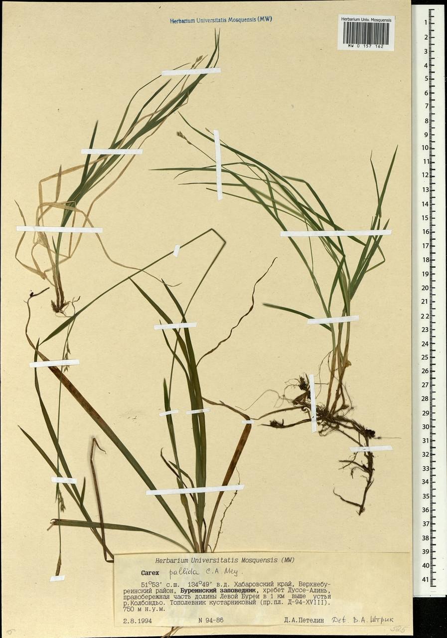 Русский язык 5 класс упражнение 143