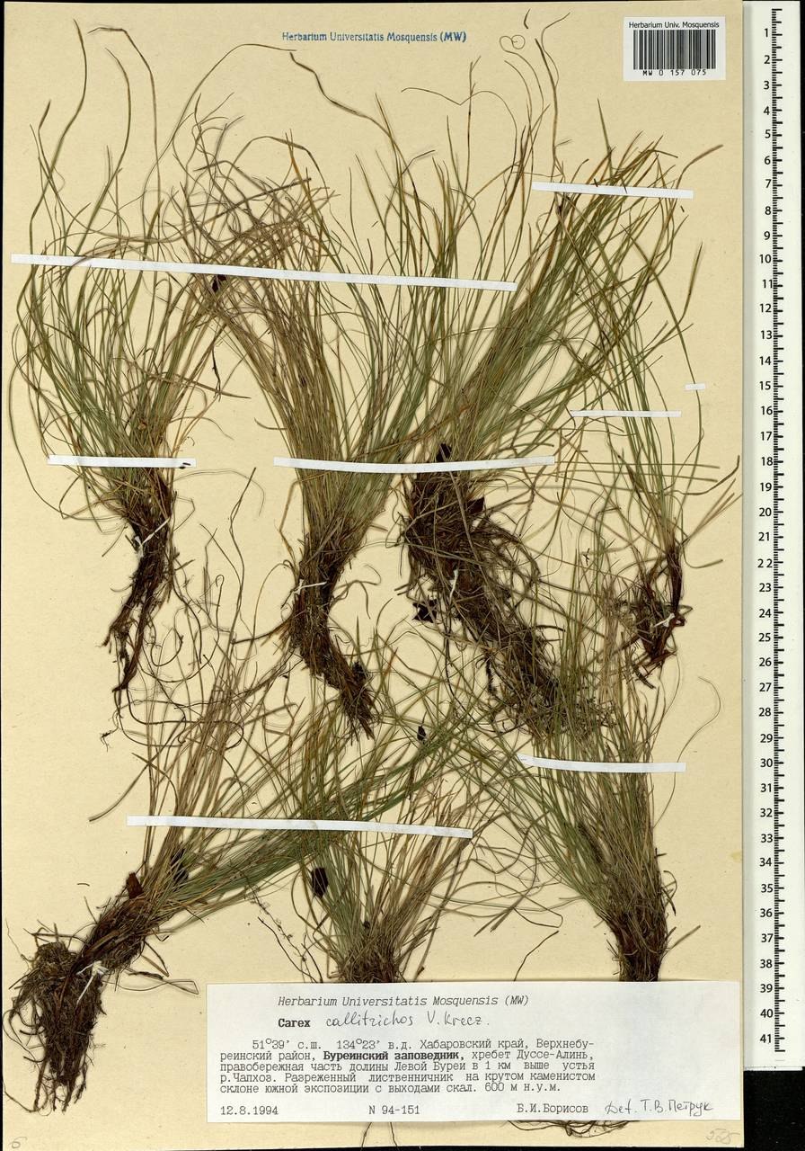 Перепишите вставляя пропущенные буквы и раскрывая скобки