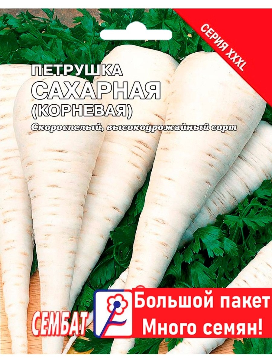Петрушка сахарная