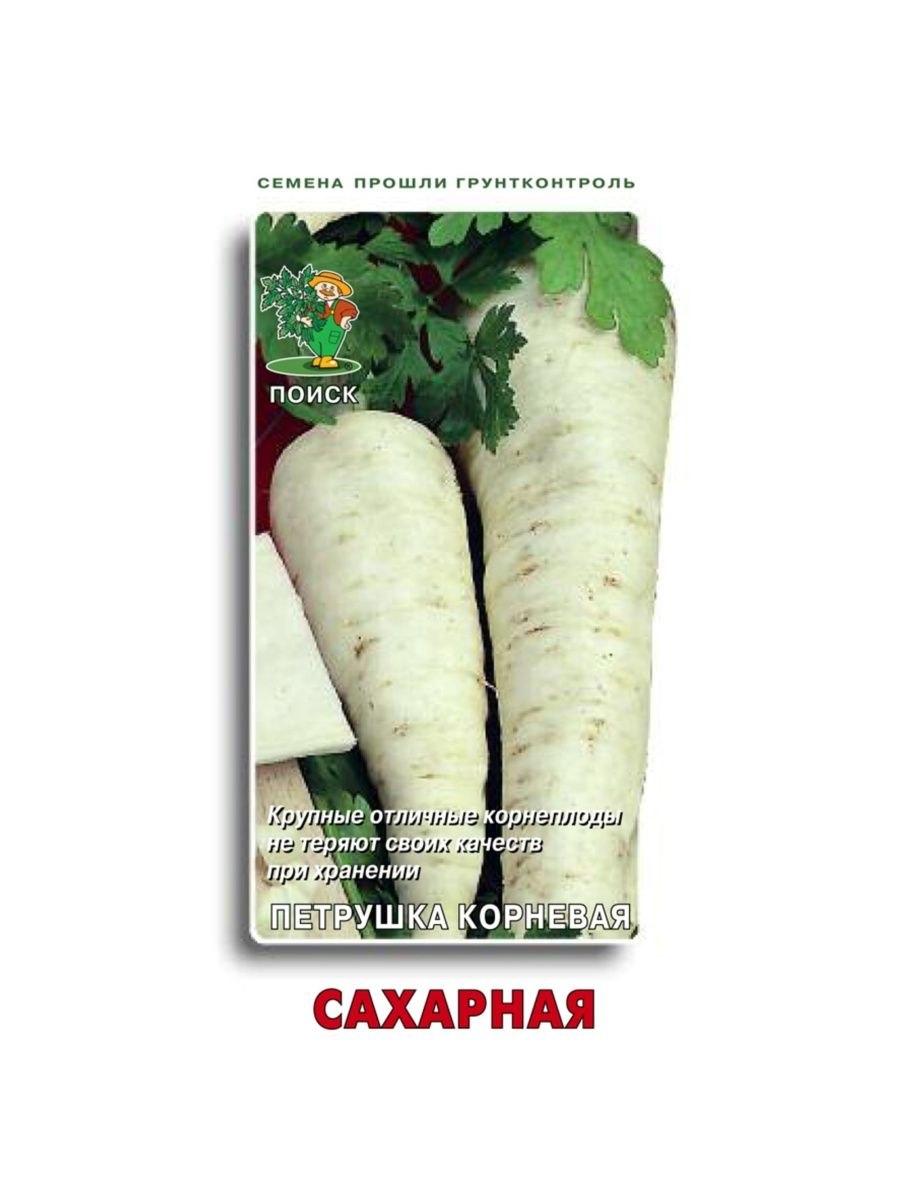 Петрушка корневая