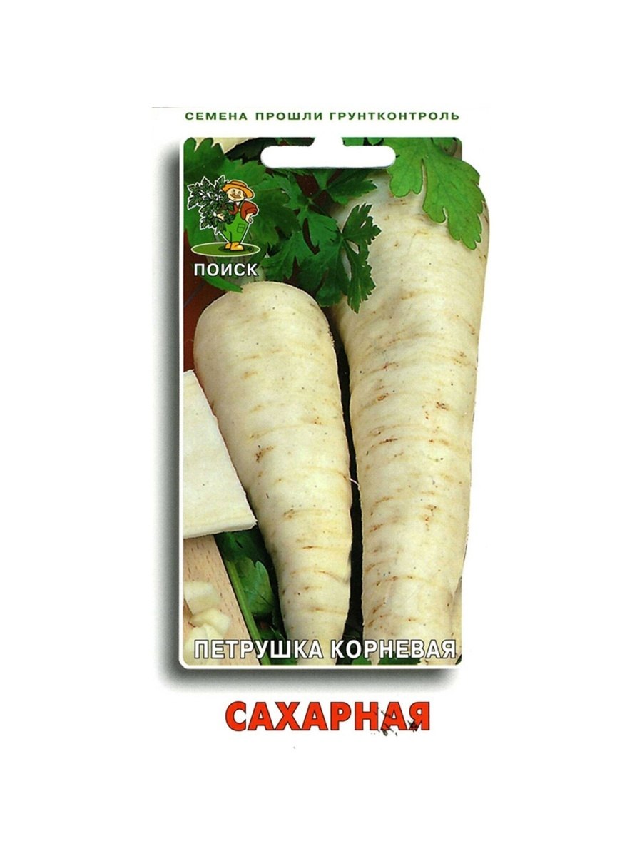 Петрушка корневая сахарная