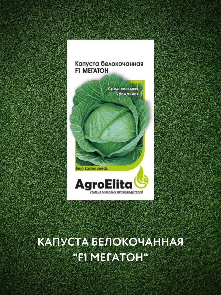Капуста белокочанная Мегатон
