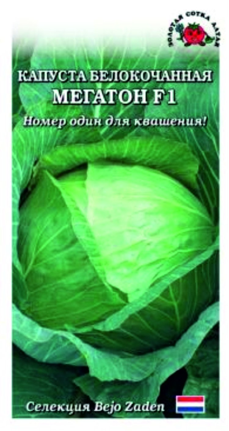 Капуста белокочанная Краутман