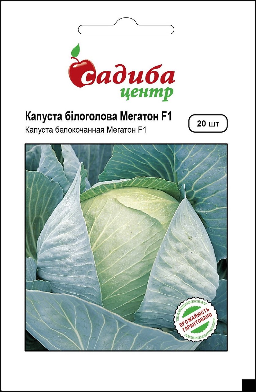 Капуста Мегатон f1 характеристика