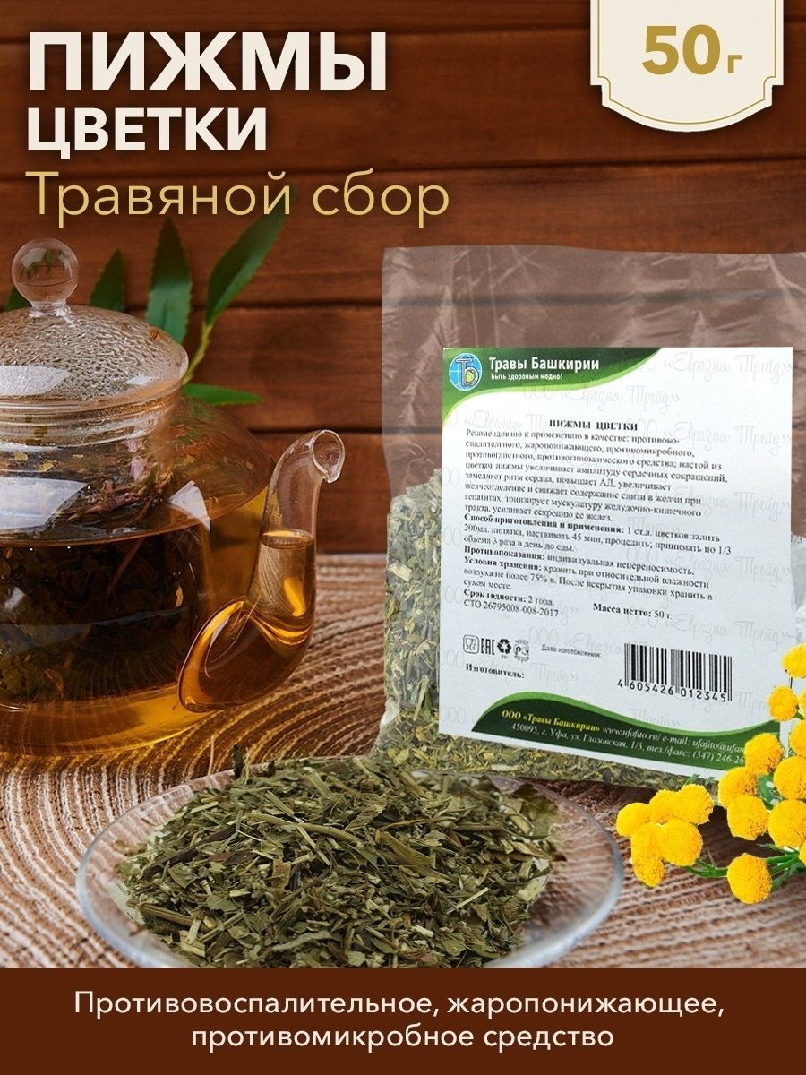 Пижма Луговая