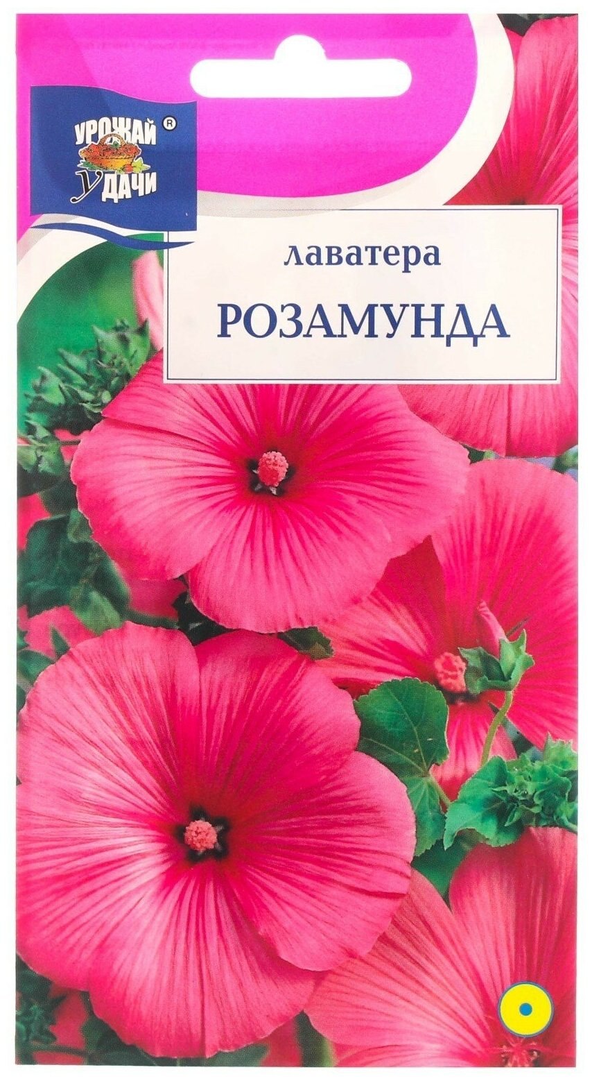 Лаватера Лавлайнс