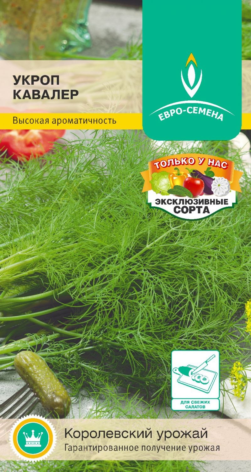 "Аэлита" семена 1 укроп Кибрай