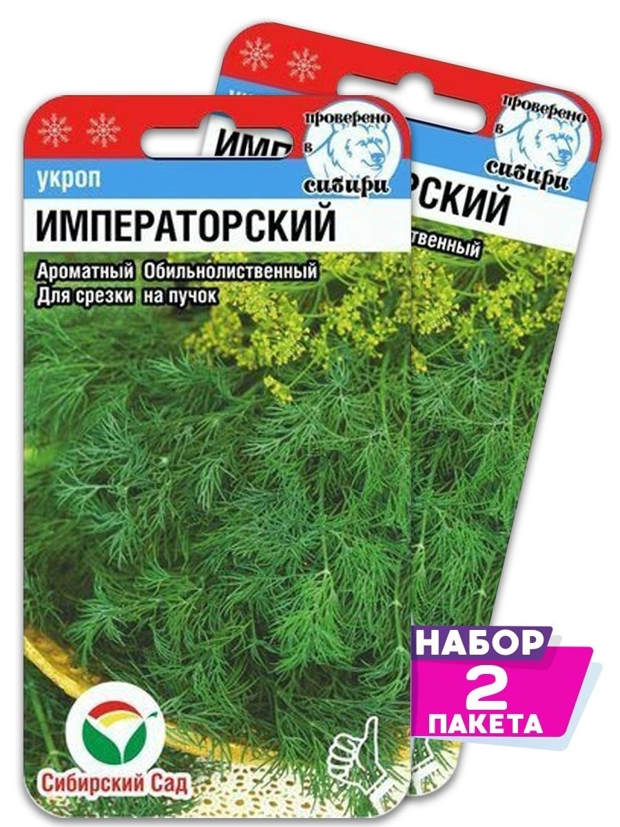 Укроп вологодские кружева