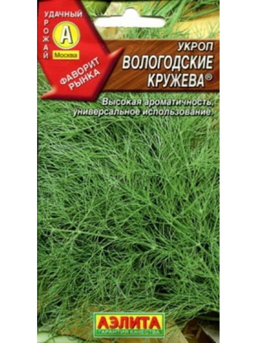 Семена укроп вологодские кружева